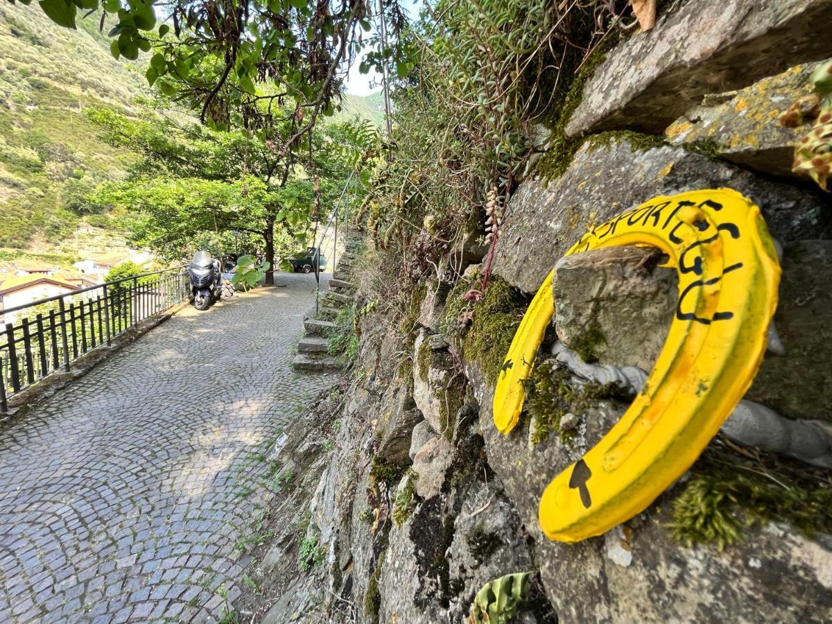 Alloggio U Sportegu Da E Monti A Giaia Badalucco Exterior photo